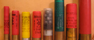 Shotgun Ballistics